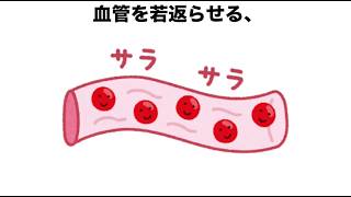 血管年齢を若返らせる習慣雑学#雑学 #血管年齢 #健康習慣 #血管ケア #誰かに話したくなる