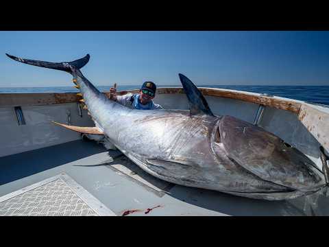 48 Hrs Chasing $1,000,000 Fish... GIANT Bluefin Tuna