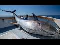 48 Hrs Chasing $1,000,000 Fish... GIANT Bluefin Tuna DEFAULT Thumbnail