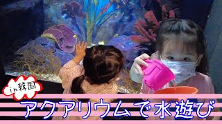 ［한일커플/日韓カップル］대구 아쿠아리움에 다녀왔어요/大邱のアクアリウムへ遊びに行ってきたよ/