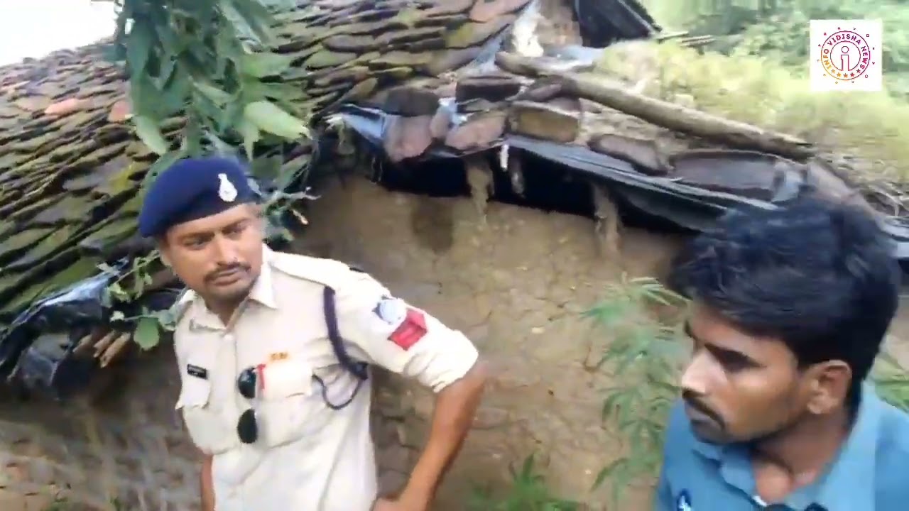 VIDISHA CRIME NEWS - महिला कर रही थी घने जंगल में गांजा की खेती , लाखो रुपए का गांजा बरामद