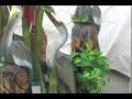 Neptune Festival Art & Craft Show