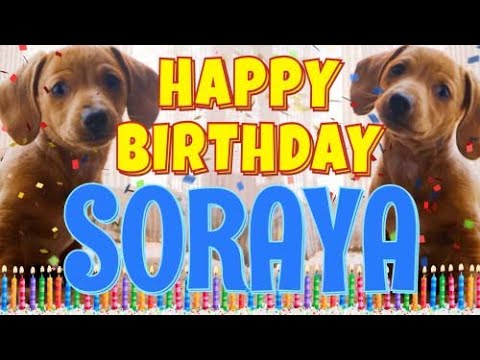 Happy Birthday Soraya! ( Funny Talking Dogs ) What Is Free On My Birthday