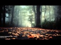 Synthetic Epiphany ft. CoMa - Volition 