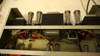Puresonic 410C Tube Amp