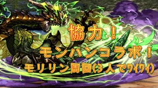 【パズドラ】【202009 協力！モンハンコラボ！ 鏖魔狩猟依頼 特殊許可 モリリン周回】（3Y）
