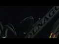 Colnago C60