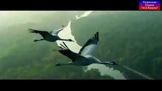 ��� ������!