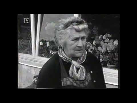 "Die Mauer" 13 August 1961