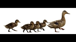 One, two, three...Everybody follow me!