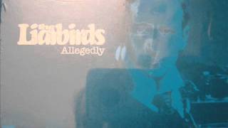 the liarbirds - running mind