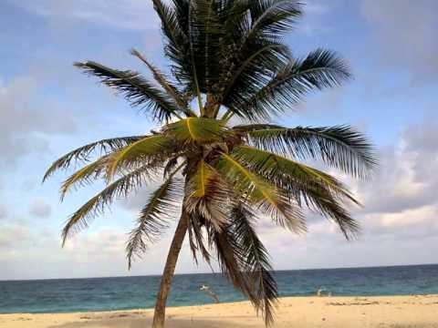 MIKE GROSVENOR ~ Gimme Music