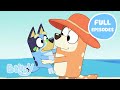 Bluey S Sunny Adventure Full Episodes ️ Featuring The Pool The Beach And More Bluey
