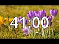 41 Minutes Timer with Music | Spring Timer