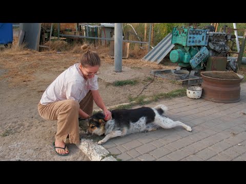 Chained Dog Couldn’t Hold Emotions When We Came to Rescue Her