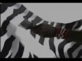 BOYSEN Permacoat Zebra TVC