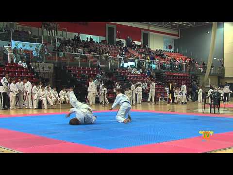 06/11/11 – II Copa de Taekwondo de La Nucía