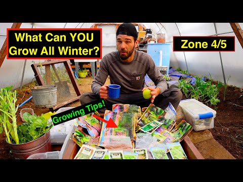 DIY WINTER GREENHOUSE GARDENING ZONE 4/5 COLD WEATHER GROWING - NO COSTLY BILLS $$