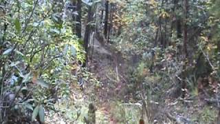 preview picture of video '53 Acres Near Blowing Rock NC (Acreage)'