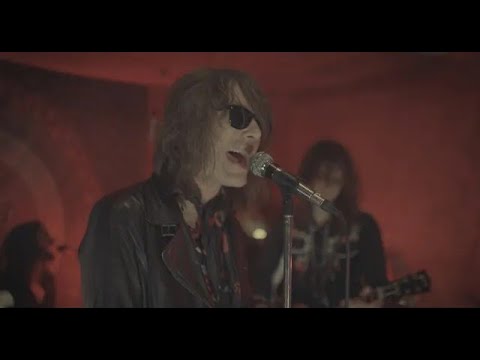 Tal Rasha - All (For You) (Live session 2025)