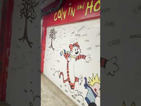 A frame from the embedded video, with a play button over the image.