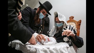 האדמו''ר מערלוי ואחיו הגה"צ אב"ד 'תורת משה' בברית מילה בצפת
