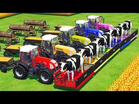 HARVEST, LOAD AND TRANSPORT CORN AND COWS WITH RIGITRAC TRACTORS - Farming Simulator 2022