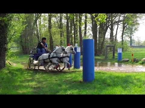 Fahrturnier Wettringen 22.4.2018