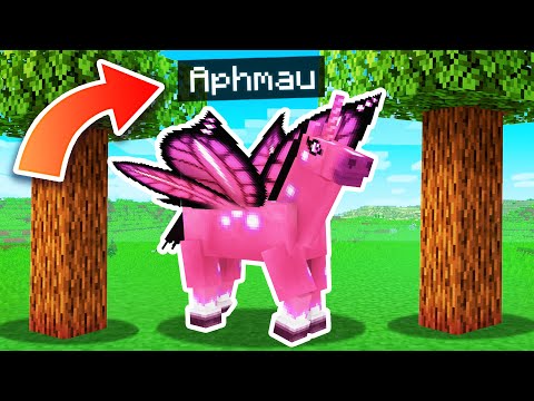Aphmau - Playing Minecraft As A SECRET Pegasus!