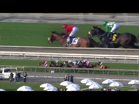 2013 Crystal Waters Stakes