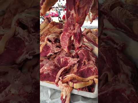 Rabada gorda em Lagoa dos Gatos-PE