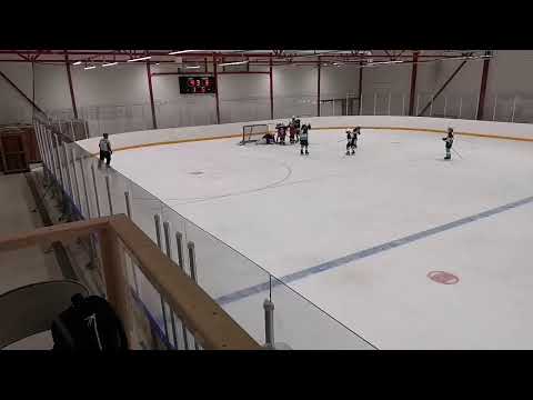 22.01.2023 U13 AAA Tappara Musta - Pelicans Turkoosi