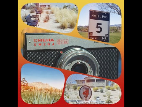 1st roll in 35mm Smena 8M Soviet Camera at Vegas Disc Golf park