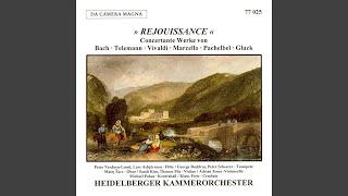 Download lagu Canon & Gigue in D Major, P. 37: I. Canon (Arr. for String Orchestra by Anonymous) mp3 Download lagu Canon & Gigue in D Major, P. 37: I. Canon (Arr. for String Orchestra by Anonymous) mp3