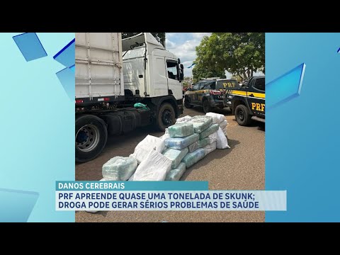 PRF apreende quase 1 tonelada de Skunk em Bom Jesus das Selvas