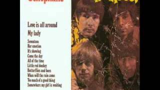 The Troggs-Little Red Donkey
