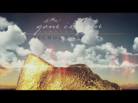 Gone Is Gone - Echolocation