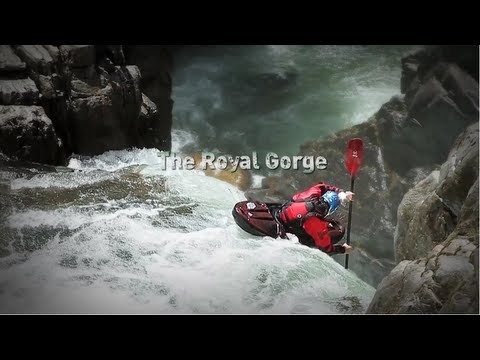 The Royal Flush (Best Short Film of the Year Awards 2012 - Entry #17)