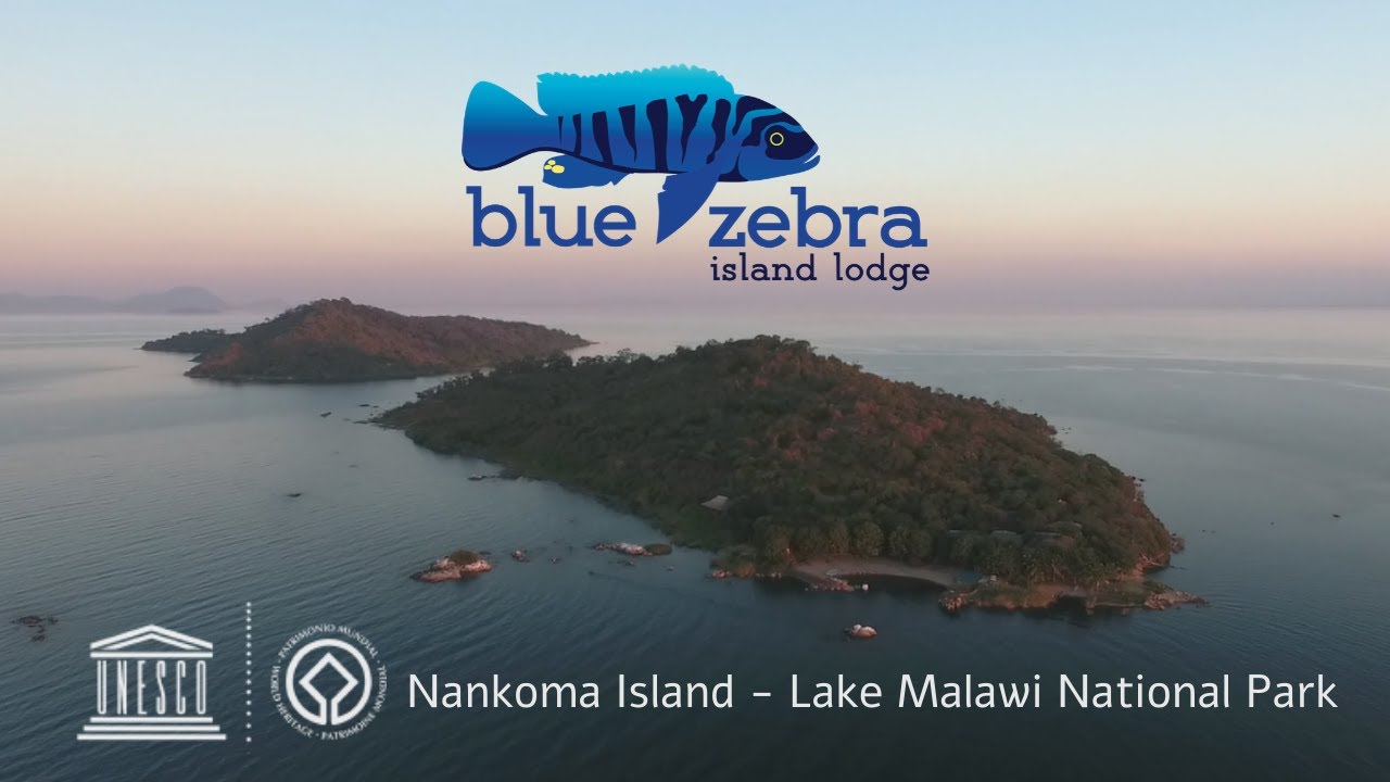 Welcome to Blue Zebra Island Lodge by Rogan Roams