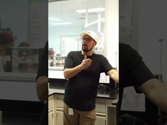 Nootropics Depot CONTENT INCOMING!