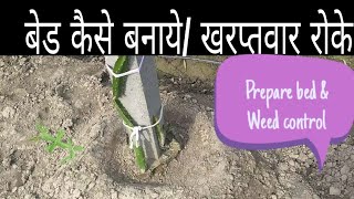 preview picture of video 'ड्रैगन फल के लिए बेड कैसे तैयार करे /Dragon Fruit bed preparation & weed Control'