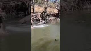 Fail #fail #bush #australia #westernaustralia #swimming #river
