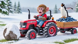 Download lagu Monkey NaNa’s Blueberry Harvest Turns Into a Chaotic Penguin Rescue Adventure! – NANA MONKEY LIFE mp3 Download lagu Monkey NaNa’s Blueberry Harvest Turns Into a Chaotic Penguin Rescue Adventure! – NANA MONKEY LIFE mp3