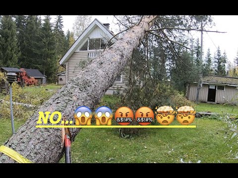 Incredible Tree Removal Fail. 90 degrees in the wrong direction. Akujelppi epäonnistuu pahasti.