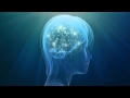 Dr. Quantum - The Real Self behind the Ego (caught by science)