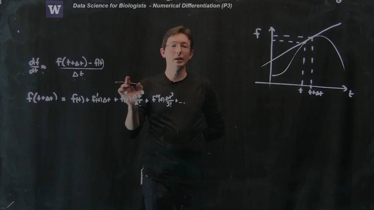 Numerical Calculus: Understanding Differentiation