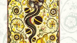 Steve Earle - Feel Alright