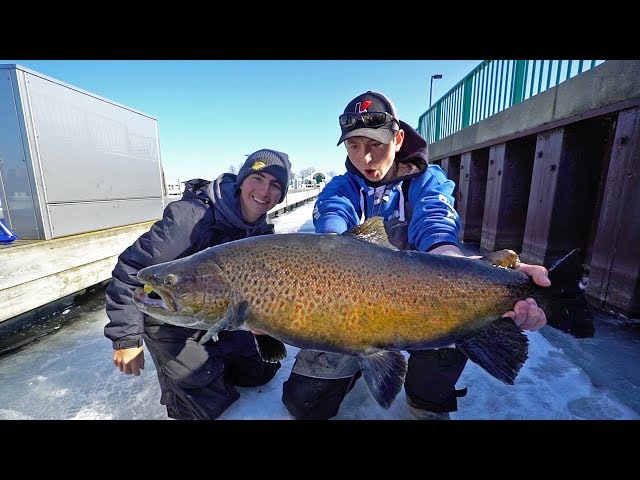 World Class TROUT Fishing!