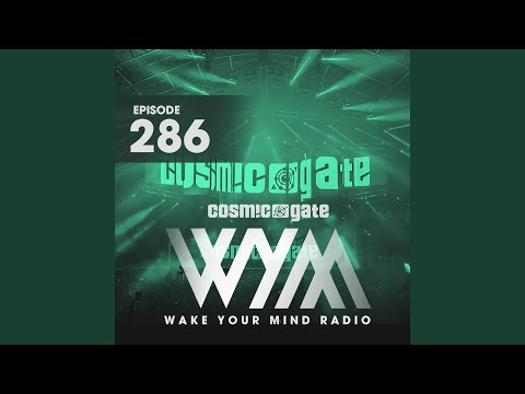 Body of Conflict (WYM286)