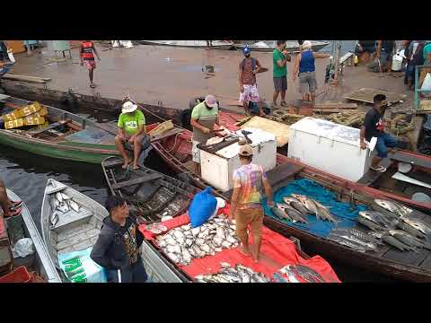 Feira da Banana & Porto da Manaus Moderna Feira do Peixe (2 parte)